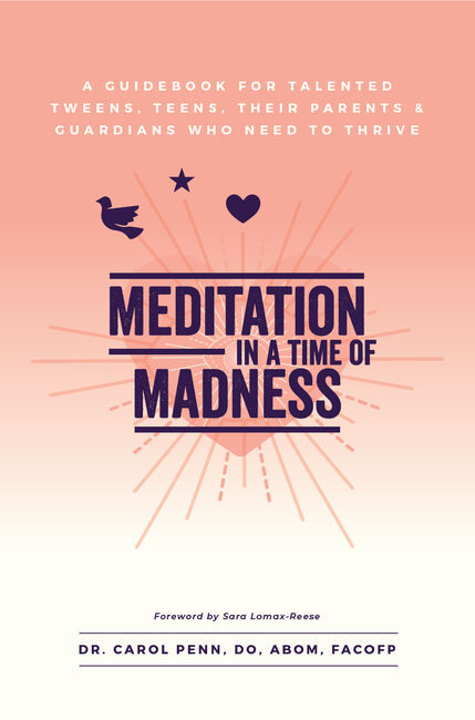 Meditation in a Time of Madness: A Guide for Busy People