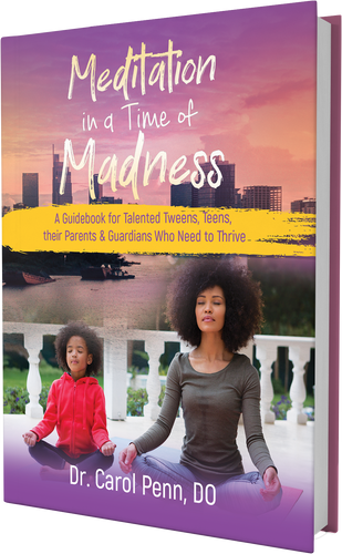 Meditation in a Time of Madness (no shipping)