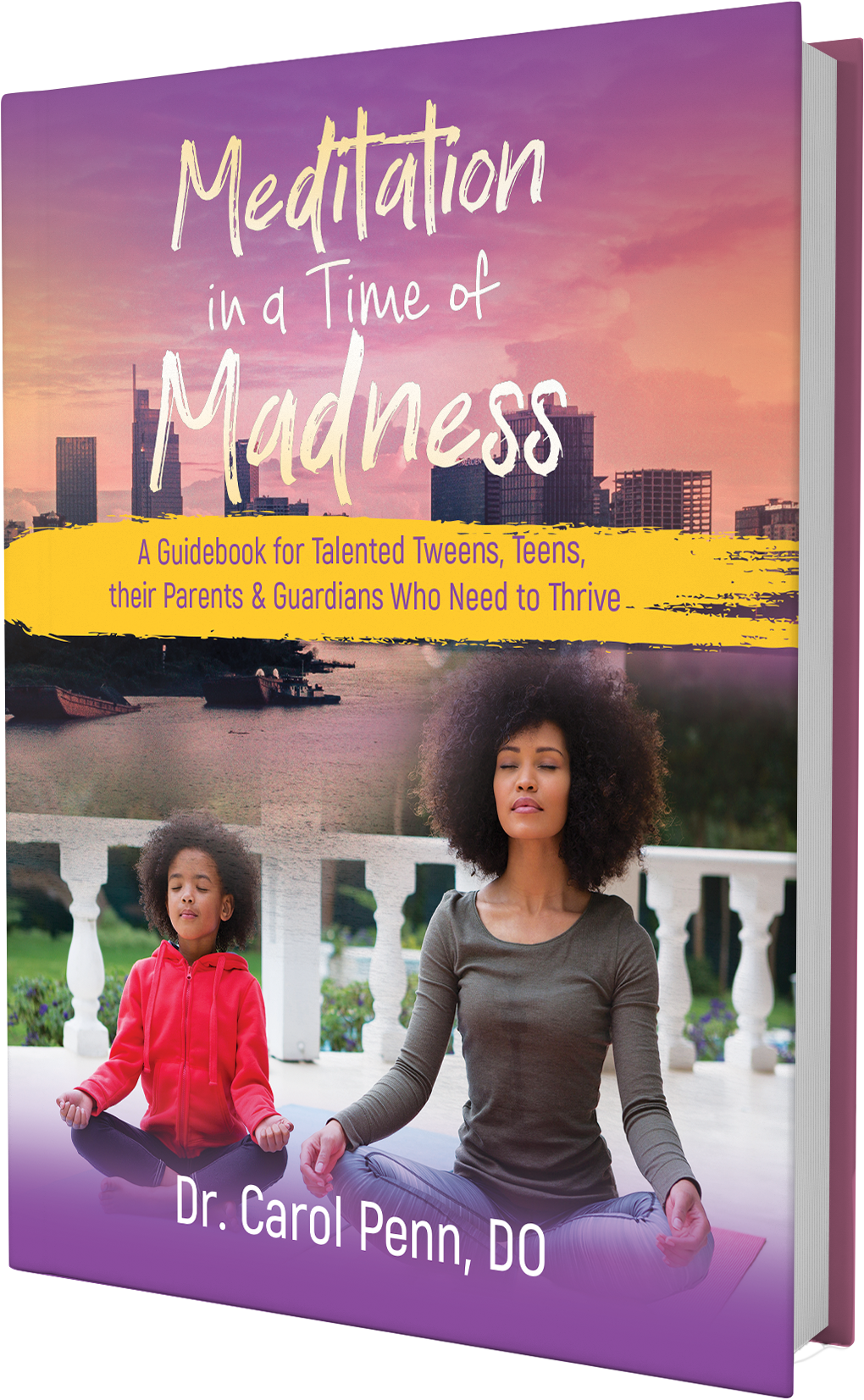 Meditation in a Time of Madness (no shipping)